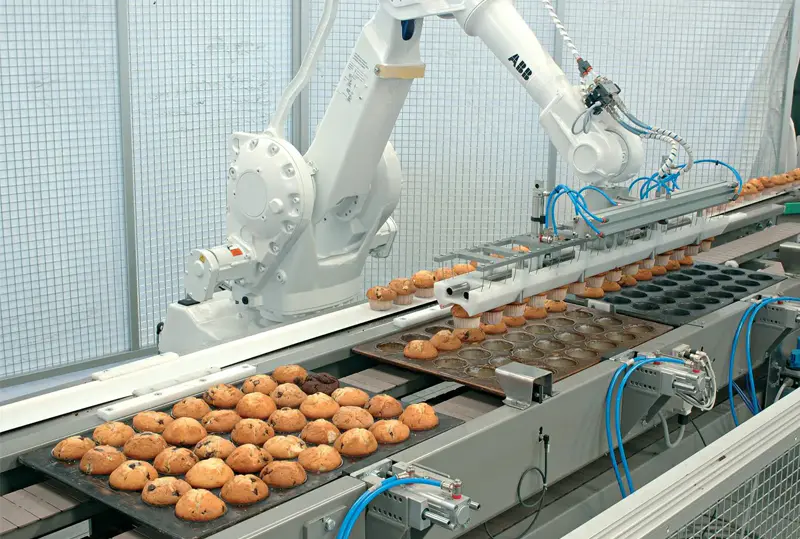 Machines d'emballage alimentaire